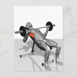 Inkline Bench Press 2 Vykort