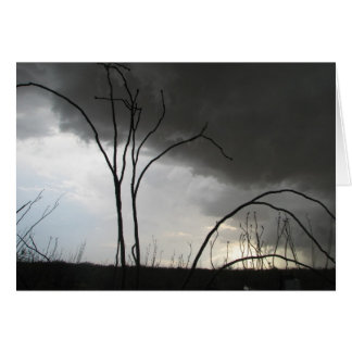 Inkomma storm hälsningskort