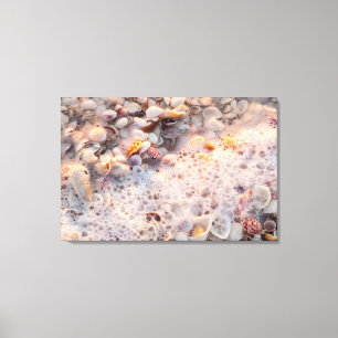 Inkommande surf och snigelskal på Sanibel Island Canvastryck