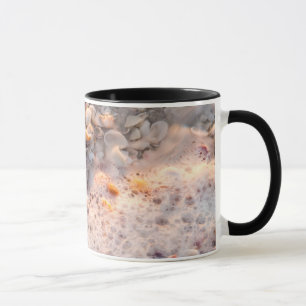 Inkommande surf och snigelskal på Sanibel Island Mugg