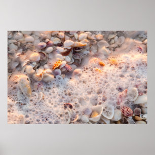 Inkommande Surfa och Seasheller på Sanibel Island Poster