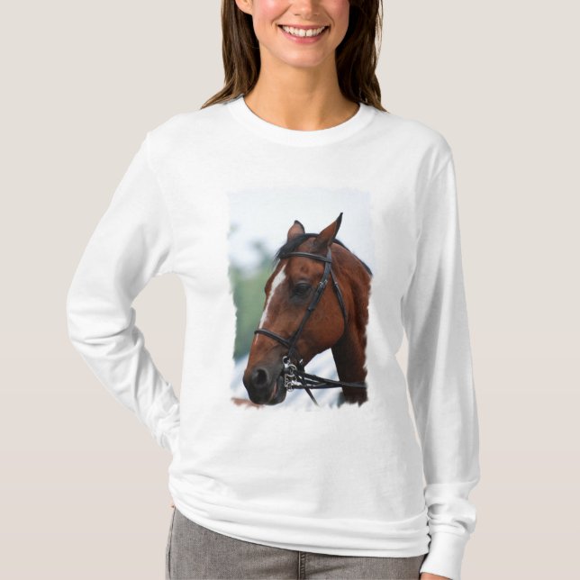 Inkvartera hästen profilerar Hoody Tee Shirt (Framsida)