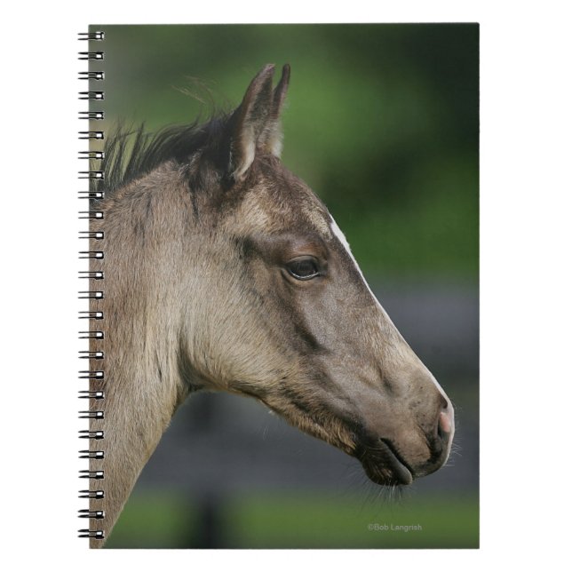 Inkvartera hästfölheadshoten anteckningsbok med spiral (Framsidan)