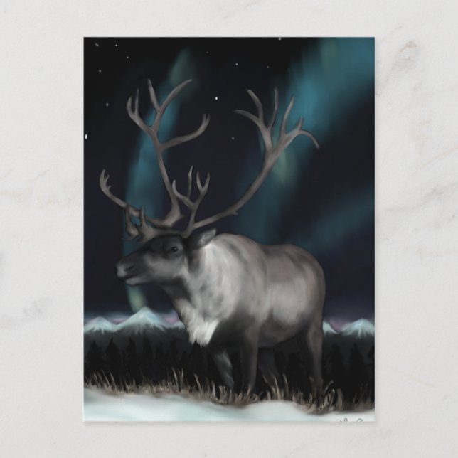 Inkvartering av vykort för norra Ljus (Framsida)