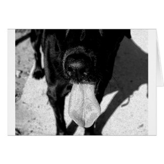 Inky Lulu Hälsningskort