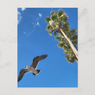 Inläggskort för segment vykort