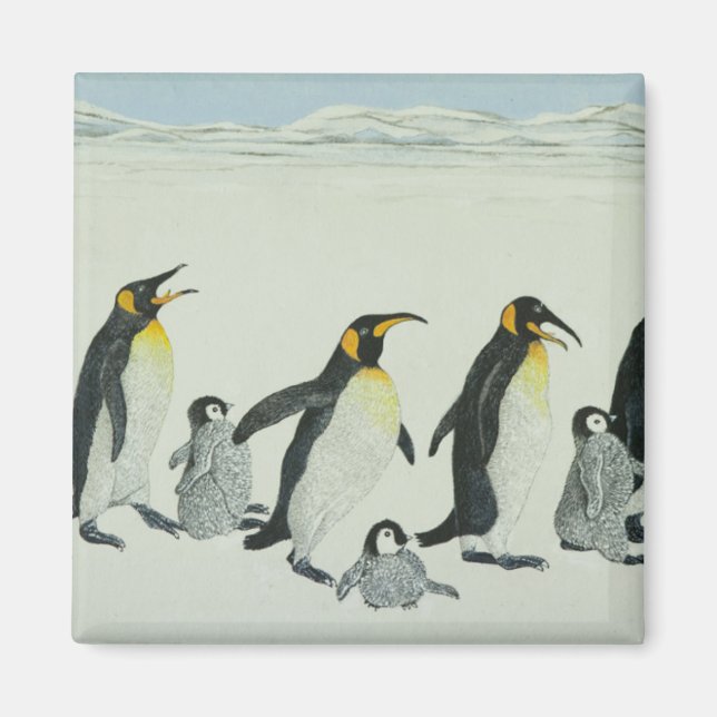Inlärningskurvan Magnet (Framsidan)