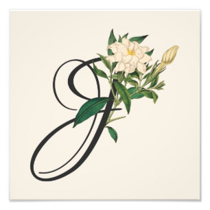 Inledande J, Vintage Jasmine Photo Print Fototryck