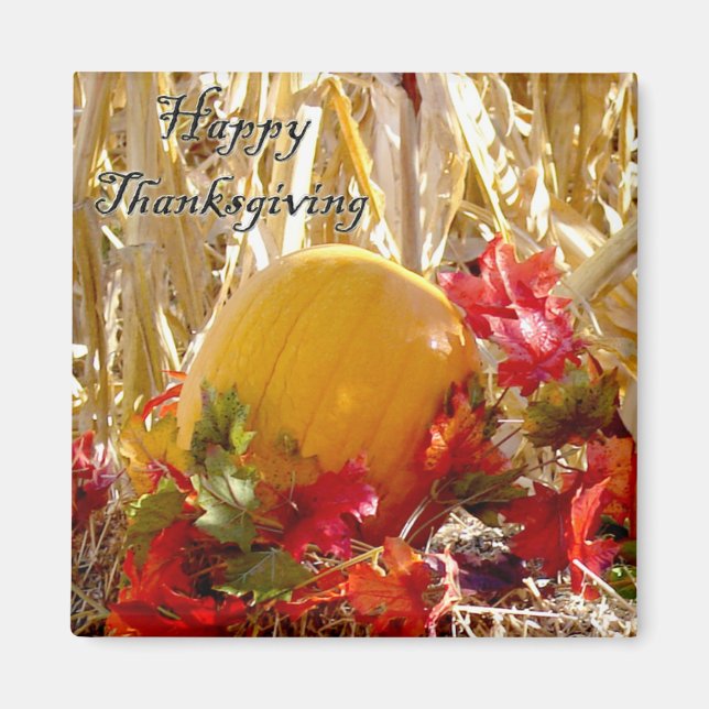 Inlöst i rött magnet (Framsidan)