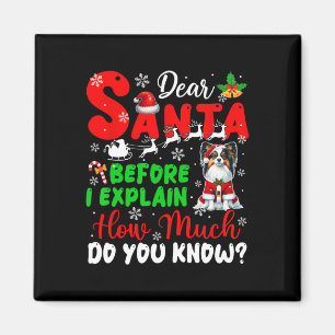 Innan jag förklarar hur mycket du vet Julafton Pap Magnet