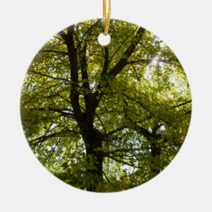 Innanför en Gult Maple Träd Höst Julgransprydnad Keramik