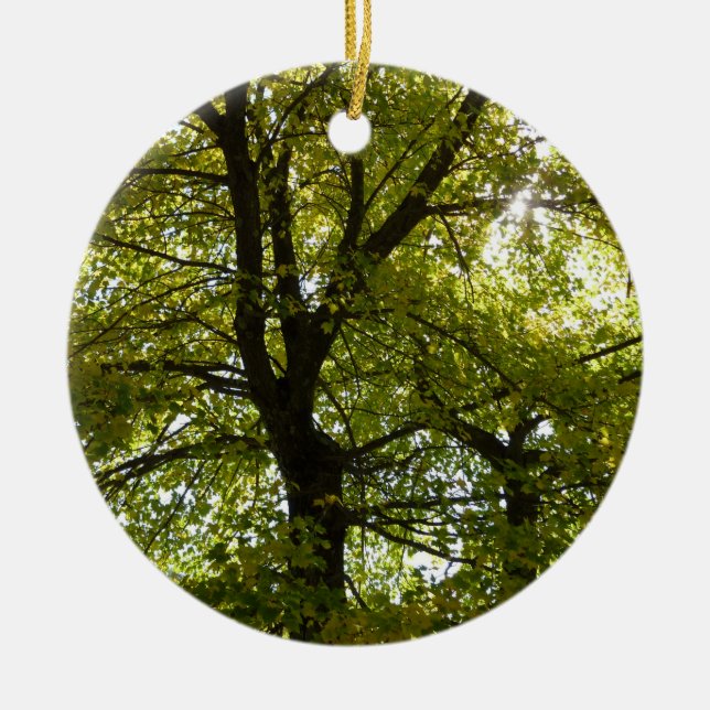 Innanför en Gult Maple Träd Höst Julgransprydnad Keramik (Framsidan)