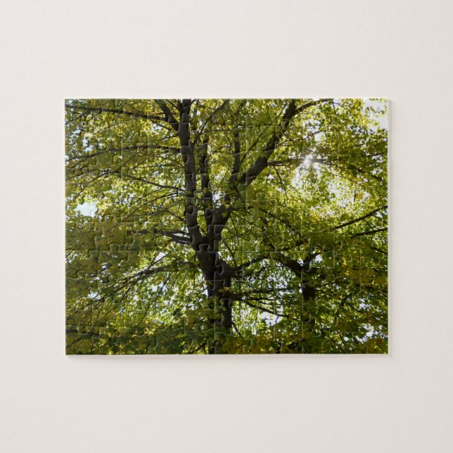 Innanför en Gult Maple Träd Höst Pussel (Horisontell)