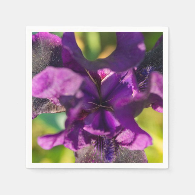 Innanför en ris pappersservett (Framsidan)