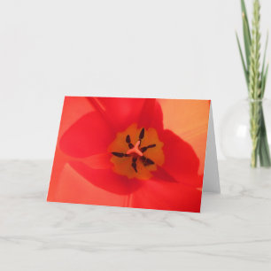 Innanför en Tulip Kort