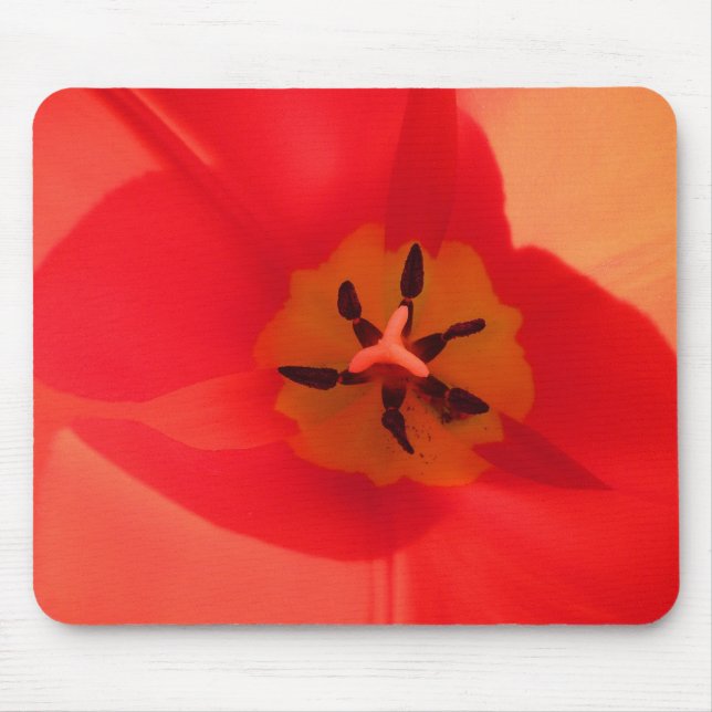 Innanför en Tulip Musmatta (Framsidan)