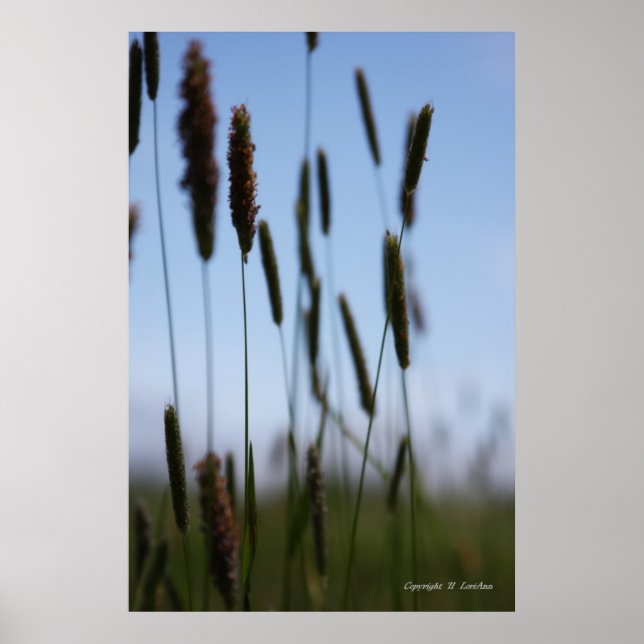 Innanför hö poster (Framsidan)