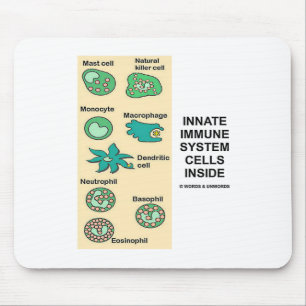 Innanför immunsystemet celler inuti musmatta