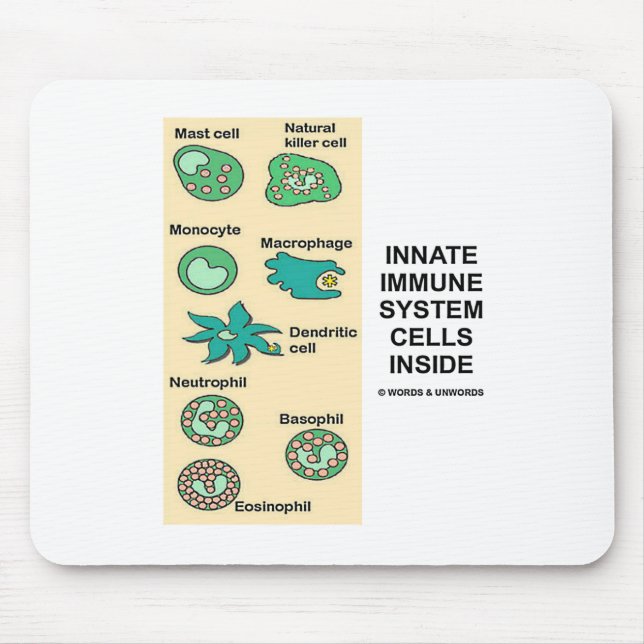 Innanför immunsystemets celler inuti musmatta (Framsidan)