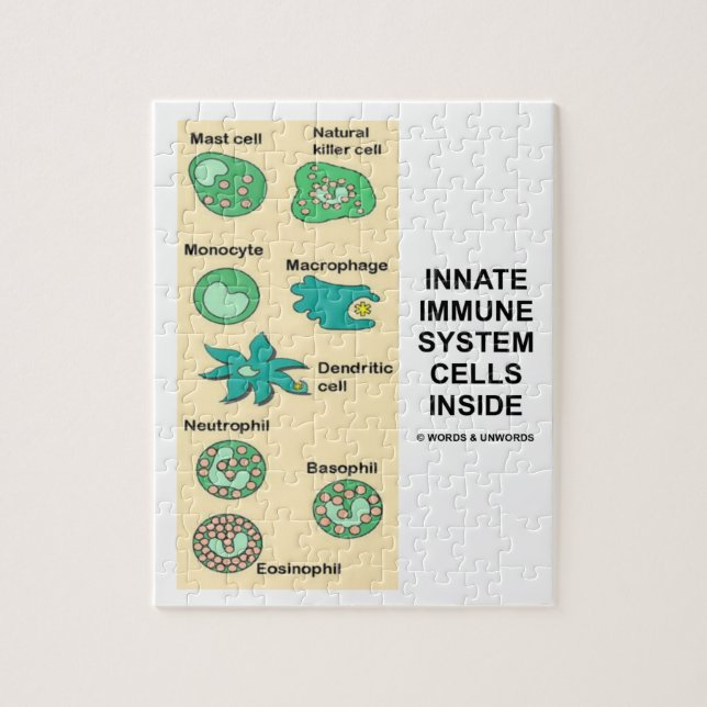 Innate immunologi för immunförsvarcellinsida pussel (Vertikal)