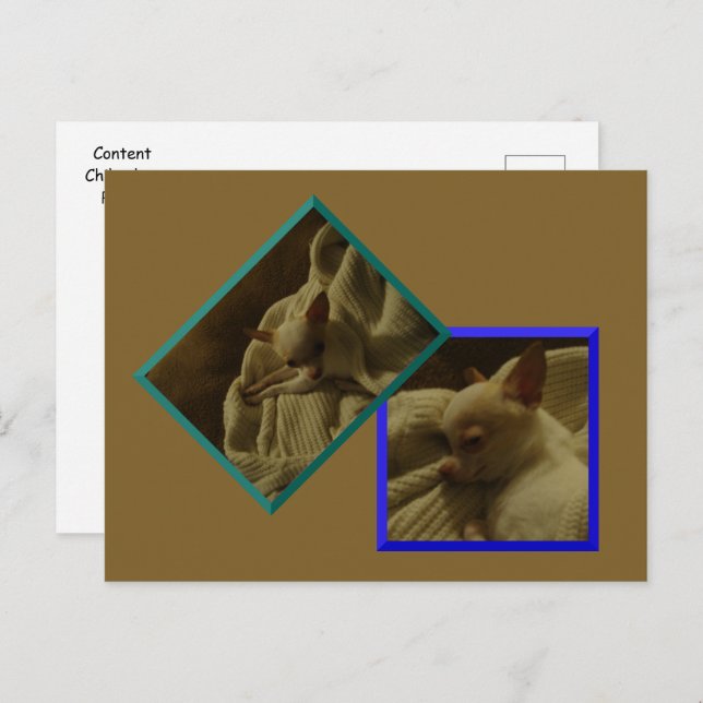 Innehåll Chihuahua Puppy-vykort Vykort (Fram/baksida)