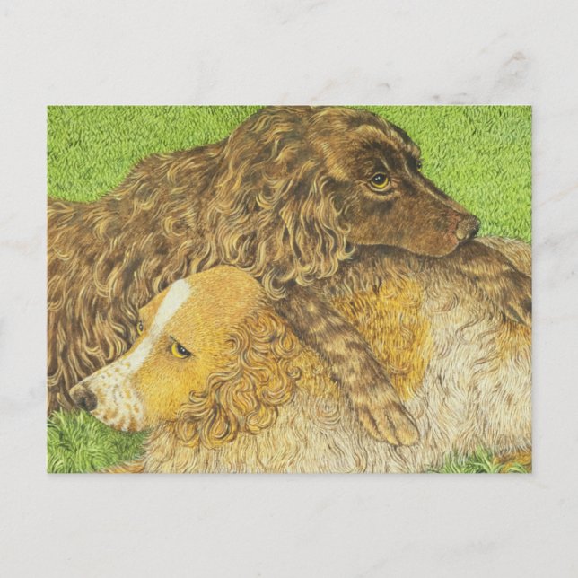 Innehav Vykort (Framsida)