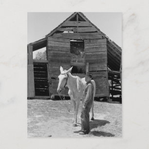 Innehavare av jordbrukarens mule, 1930-talet vykort