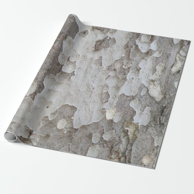 Innehavare av mönster-pass för träd bark presentpapper (Utrullad)