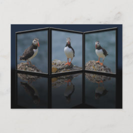 Innehavare av vykort för Puffin