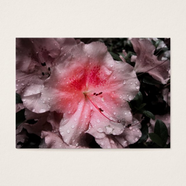 Innerglöd Bokmärken Visitkort (Framsidan)