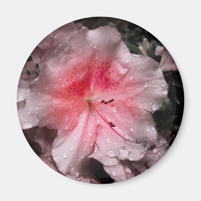 Innerglöd, magnet (Framsidan)