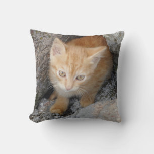 Innocent Kitten Dekorativ kudde