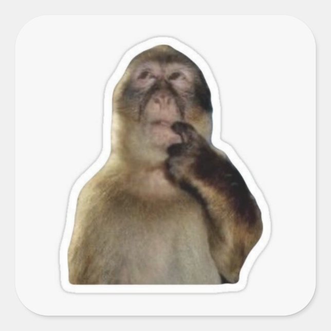 Innocent monkey Memers-etikett Fyrkantigt Klistermärke (Framsida)