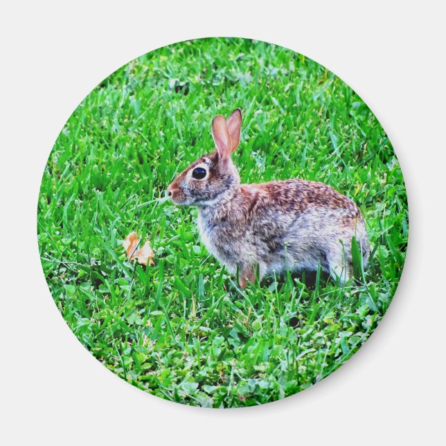 Innocent Ögon Magnet (Framsidan)