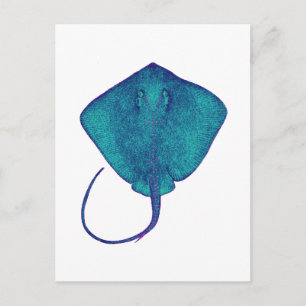 INOM BLUE VYKORT