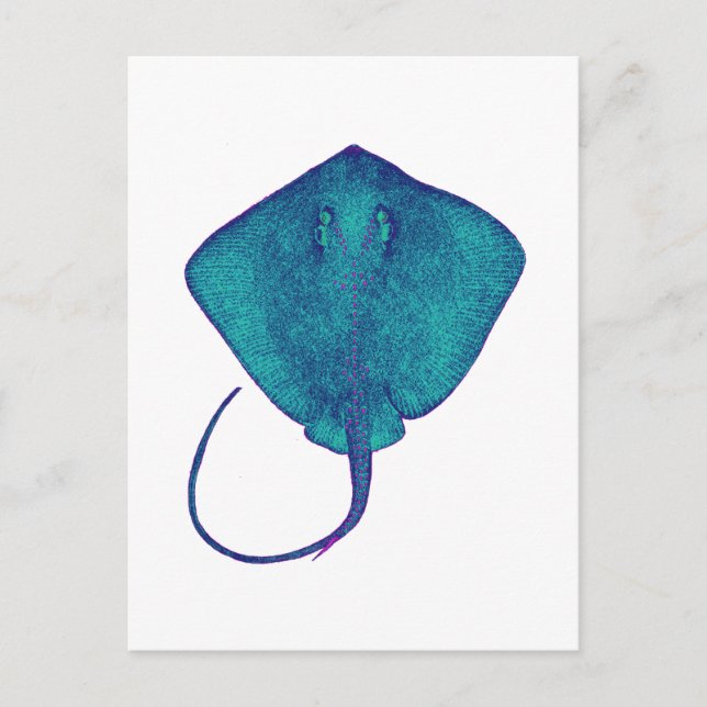 INOM BLUE VYKORT (Framsida)