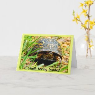Inomhusskydd - Turtle Card Kort