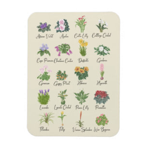 Inomhusväxter och deras Namn - Plant Älskare Gif Magnet