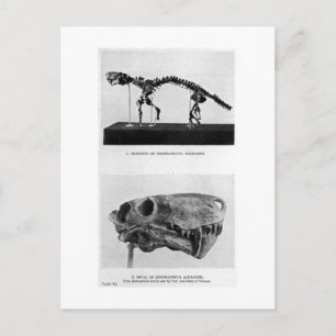 Inostrancevia alexandri art-vykort vykort