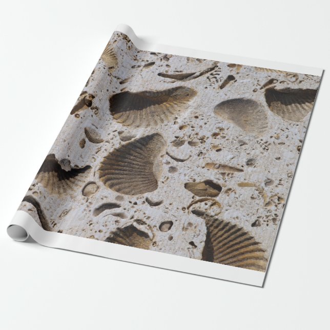 Inpackning av papper presentpapper (Utrullad)