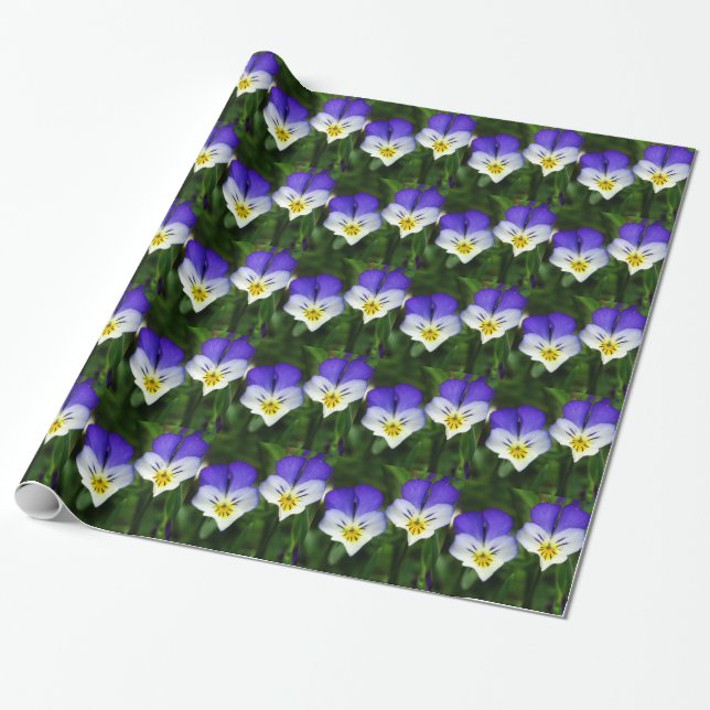 inpackning av pappra gulliga violets presentpapper (Utrullad)