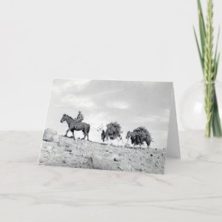 Inpackning ut av julgranar helgkort