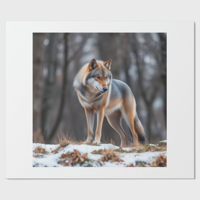 Inpackningspapper  presentpapper (Platt)