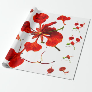 Inpackningspapper Royal Poinciana Presentpapper