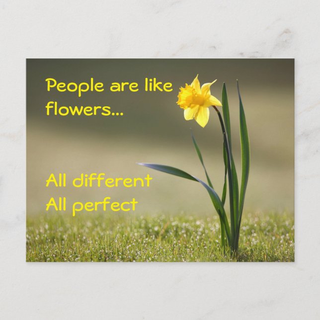 Inpass vykort. Blommor Vykort (Framsida)