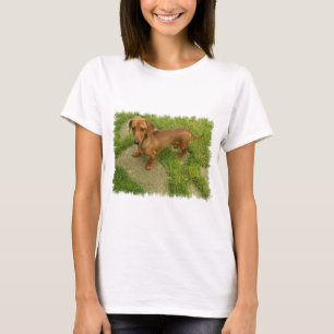 Inpassad T-tröja för Daschund damer Tee Shirt