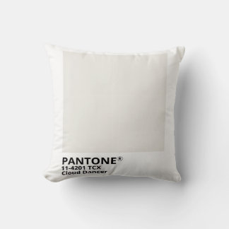 Inpiration pantone 2026 kudde