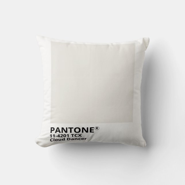 Inpiration pantone 2026 kudde (Framsida)