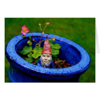 Inquisitive Gnome Hälsningskort