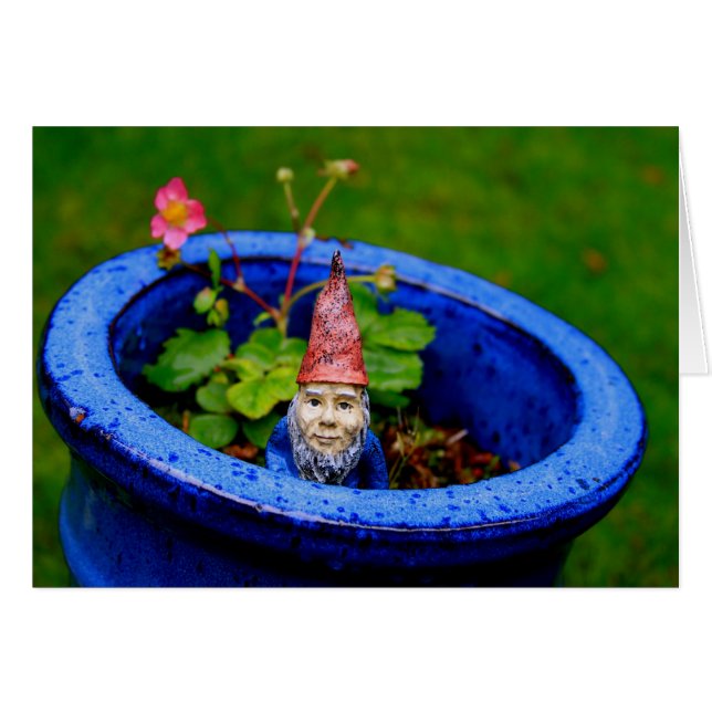 Inquisitive Gnome Hälsningskort (Framsidan Horizontal)